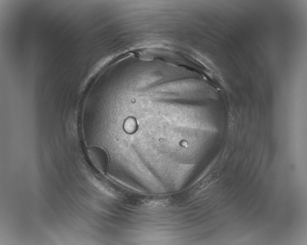 X0000053080155200507251535