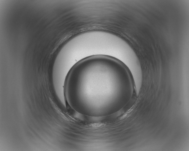 X0000053080158200507251535