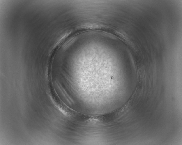 X0000053080159200507251535
