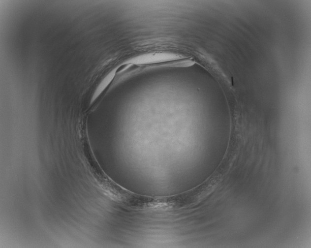 X0000053080161200507251535