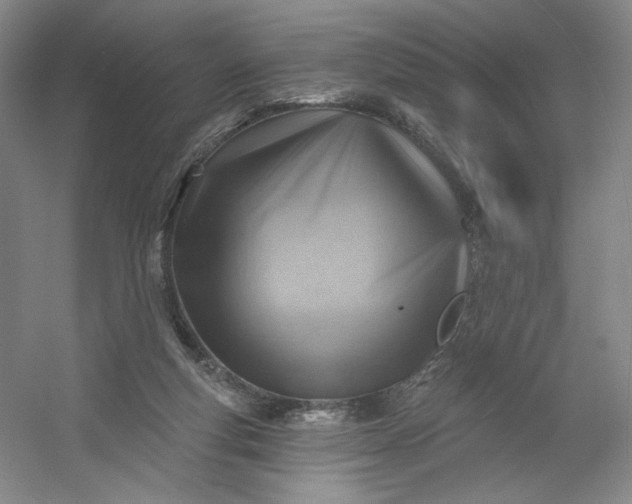 X0000053080163200507251535