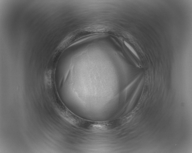 X0000053080167200507251535