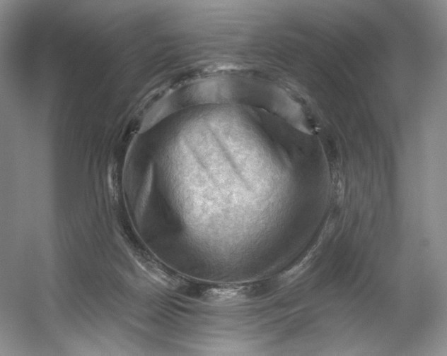 X0000053080170200507251535