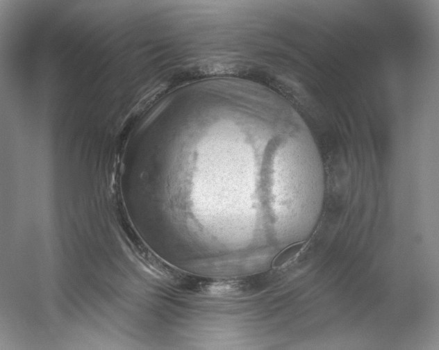 X0000053080171200507251535
