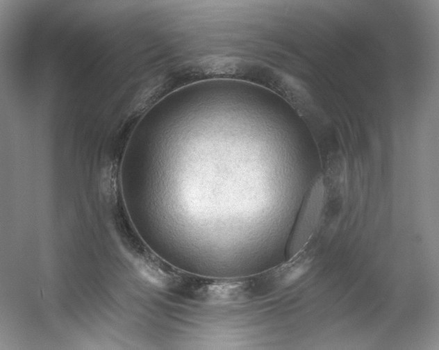 X0000053080172200507251535