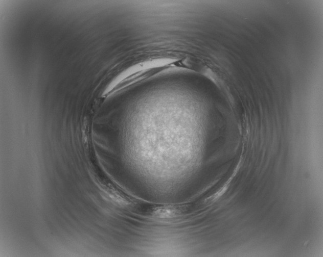 X0000053080174200507251535