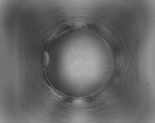 X0000053080177200507251535