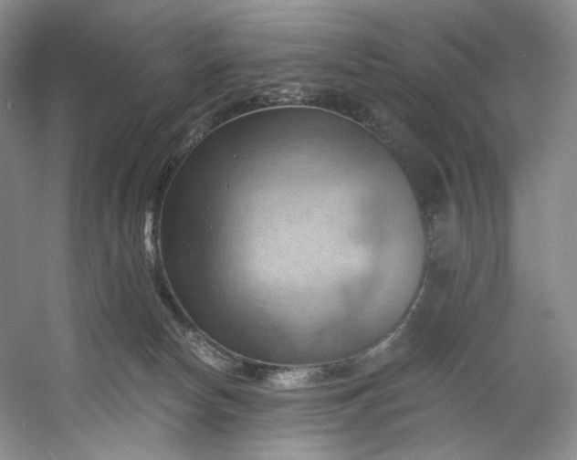 X0000053080178200507251535