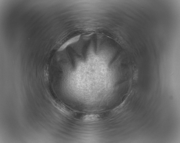 X0000053080179200507251535