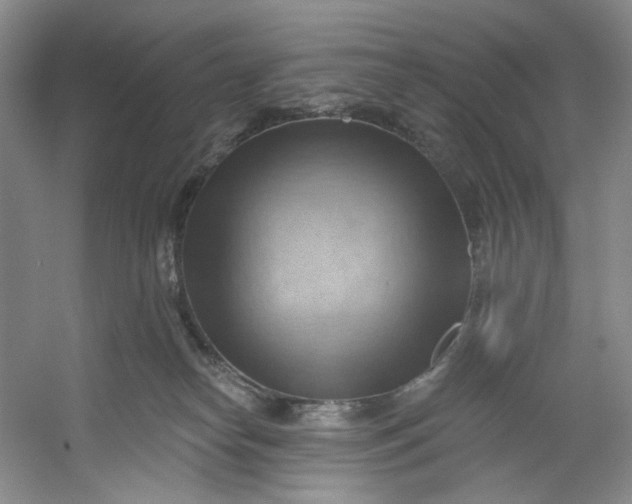 X0000053080182200507251535