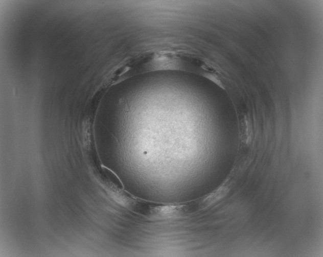 X0000053080184200507251535