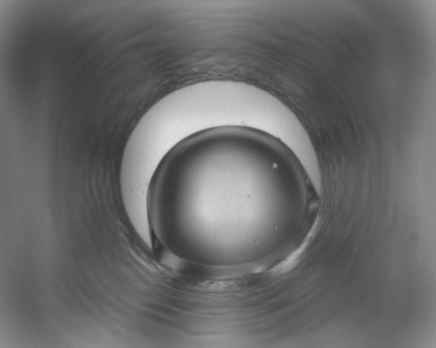X0000053080186200507251535