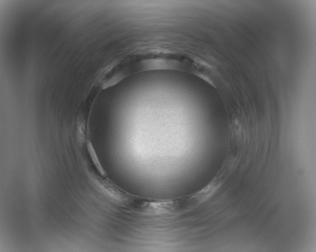 X0000053080188200507251535