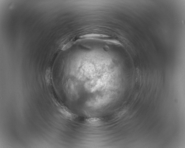 X0000053080189200507251535