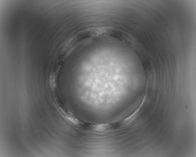 X0000053080191200507251535