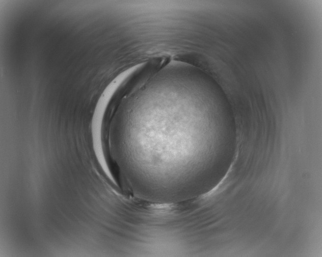 X0000053080192200507251535