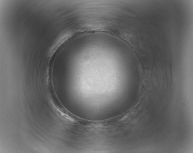 X0000053080194200507251535