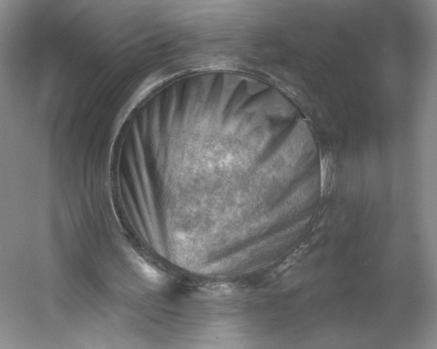 X0000053080195200507251535