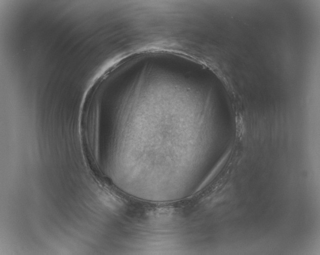 X0000053080196200507251535