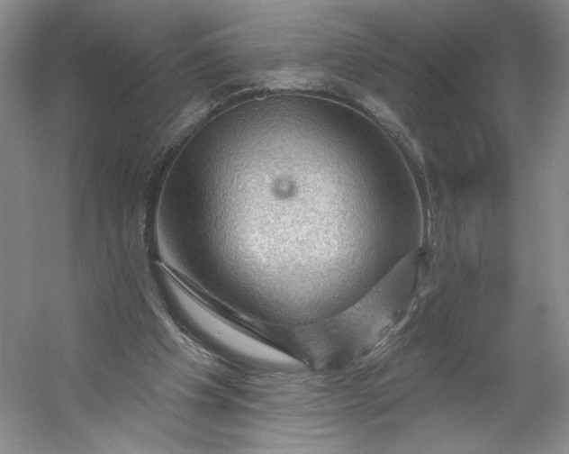 X0000053080201200507251535