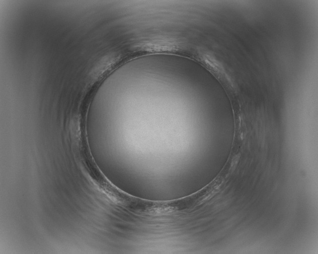 X0000053080202200507251534