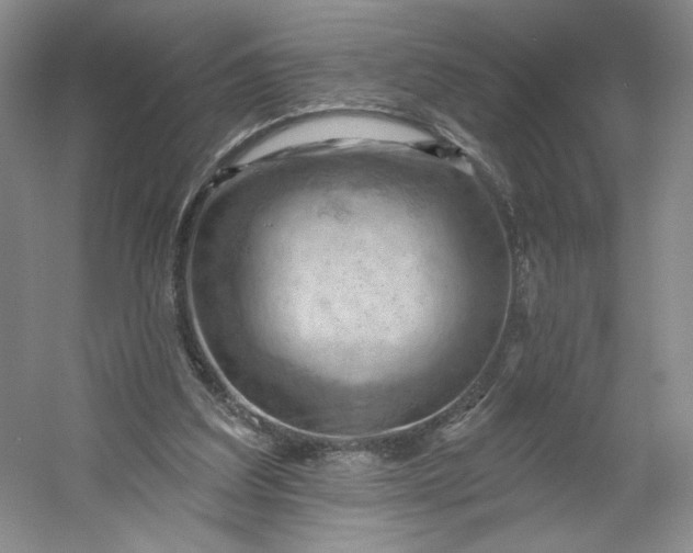 X0000053080203200507251534