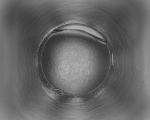 X0000053080204200507251534