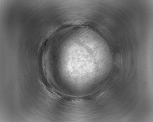 X0000053080206200507251534