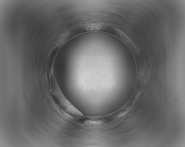 X0000053080209200507251534