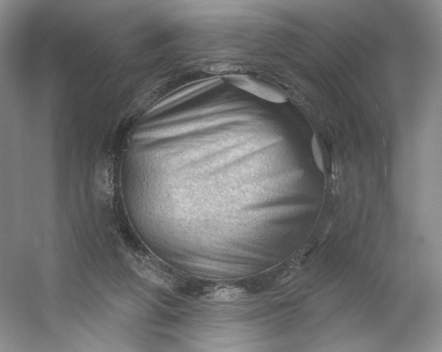 X0000053080210200507251534