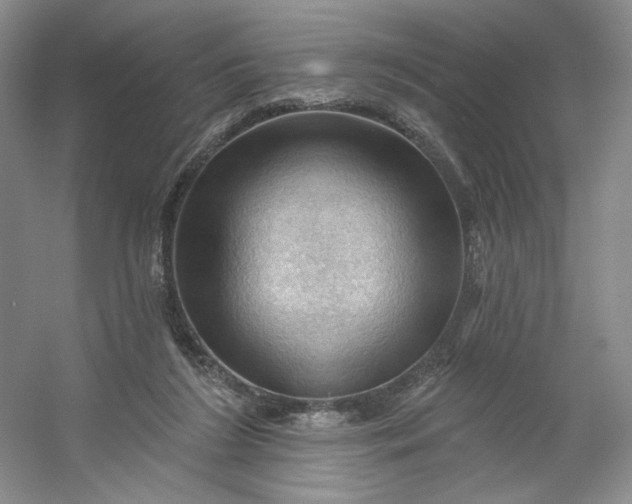 X0000053080212200507251534