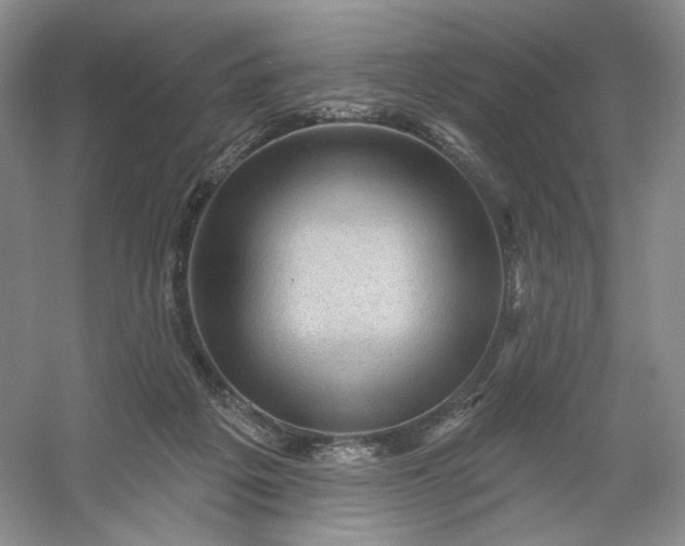 X0000053080217200507251534
