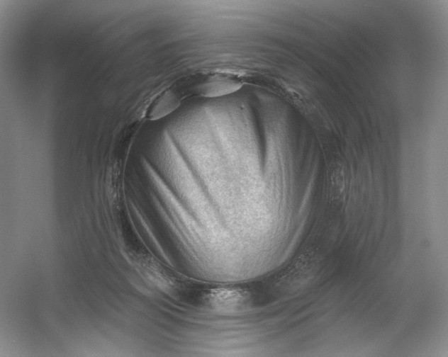 X0000053080218200507251534