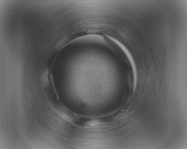X0000053080219200507251534