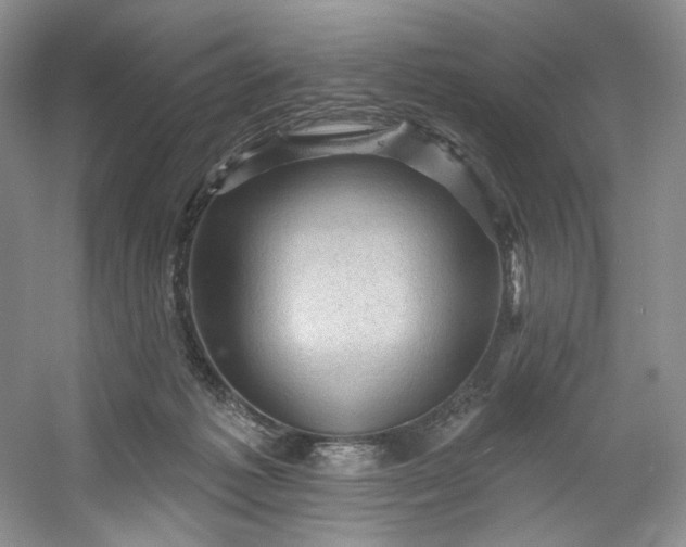 X0000053080221200507251534