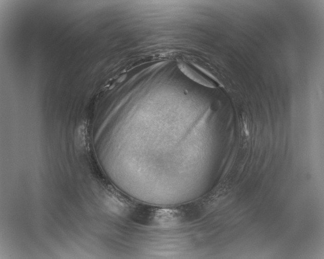 X0000053080222200507251534