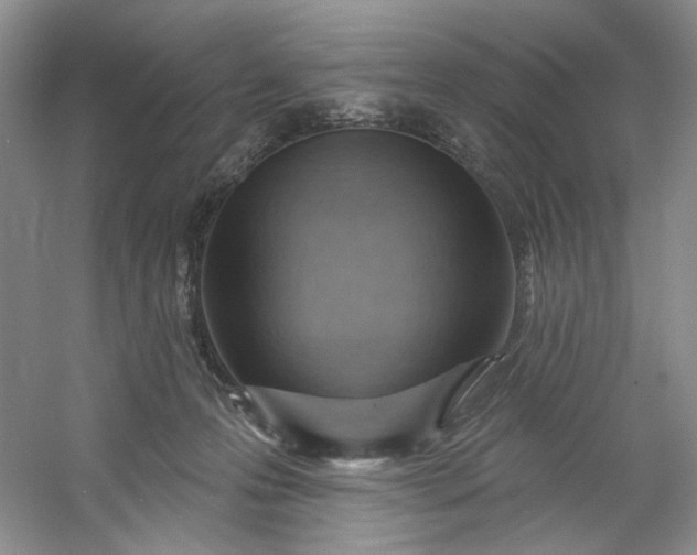 X0000053080223200507251534