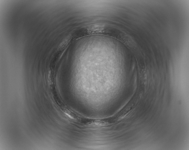X0000053080224200507251534