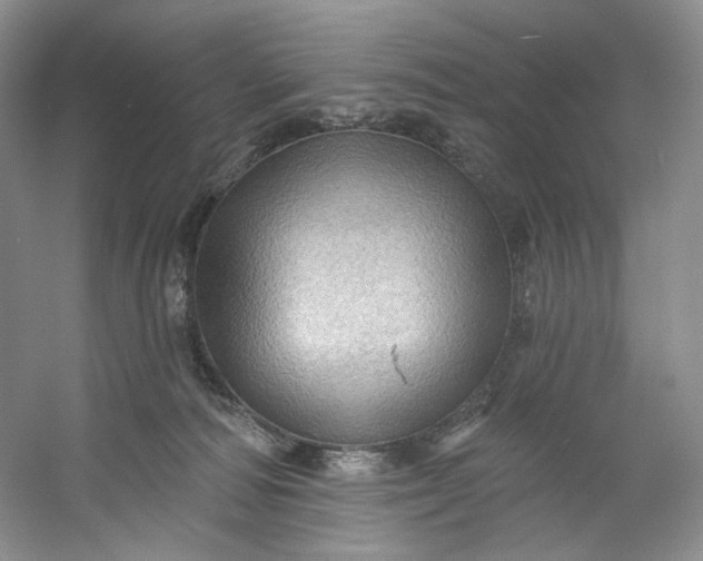X0000053080226200507251534