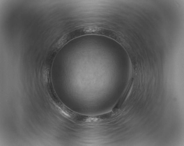 X0000053080227200507251534