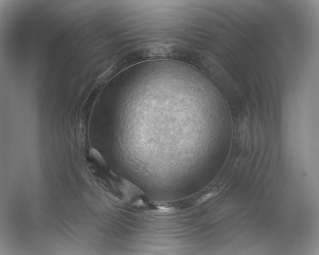 X0000053080228200507251534