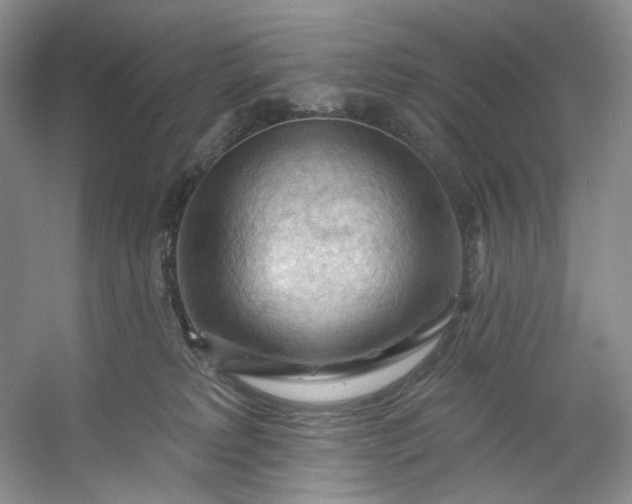 X0000053080229200507251534