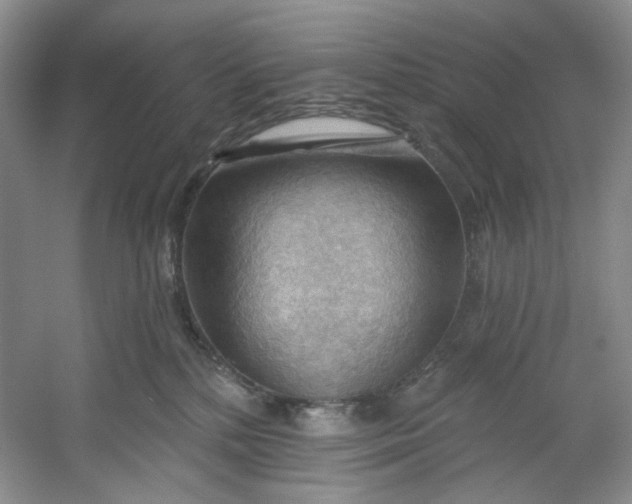 X0000053080232200507251534