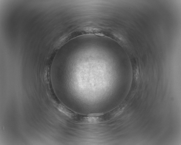 X0000053080233200507251534