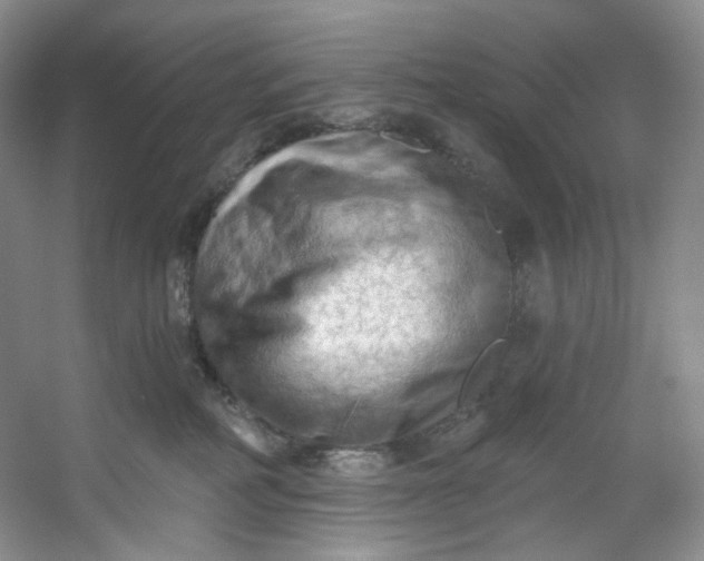 X0000053080234200507251534