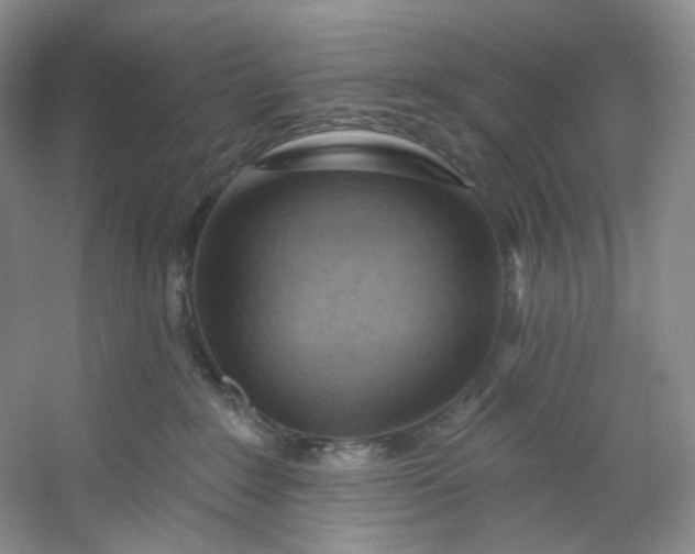 X0000053080235200507251534