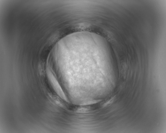 X0000053080236200507251534
