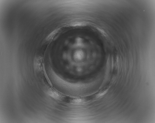 X0000053080237200507251534
