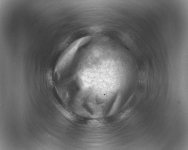 X0000053080238200507251534