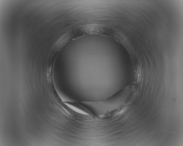X0000053080239200507251534